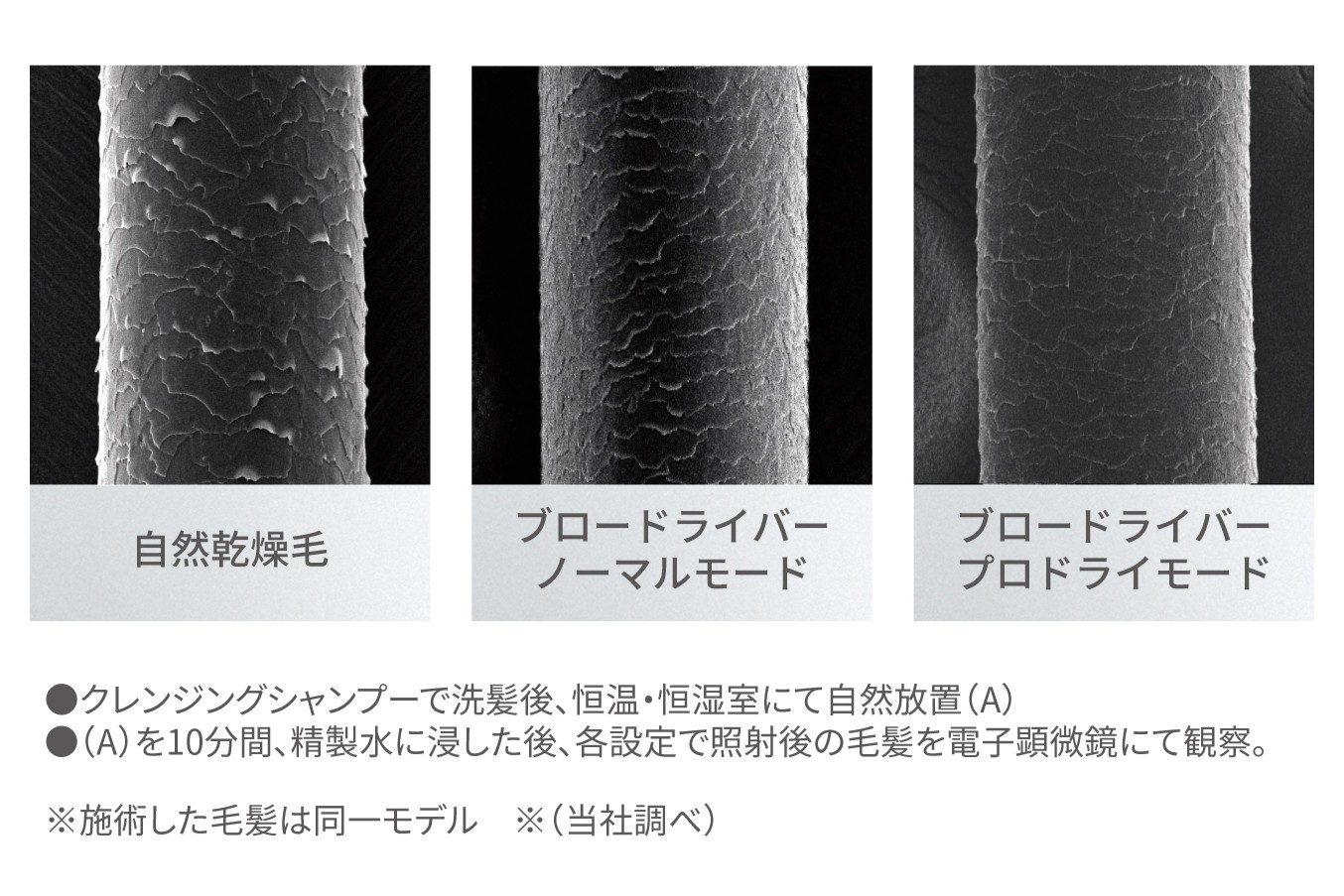 ミライホリスティックプロダクツ　ドライヤー　ブロードライヤー　施術後のキューティクル表面